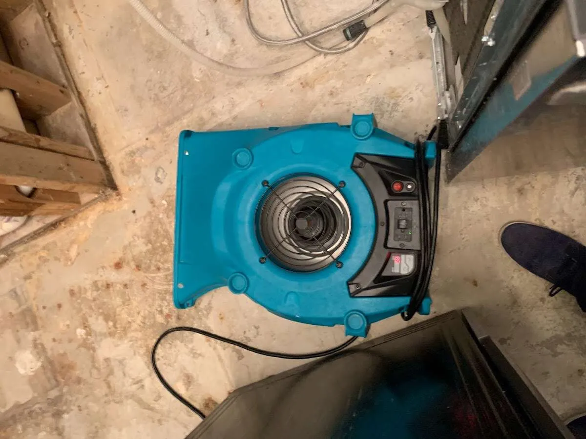 Air mover drying equipment for Mold Remediation & Removal in Hubbard